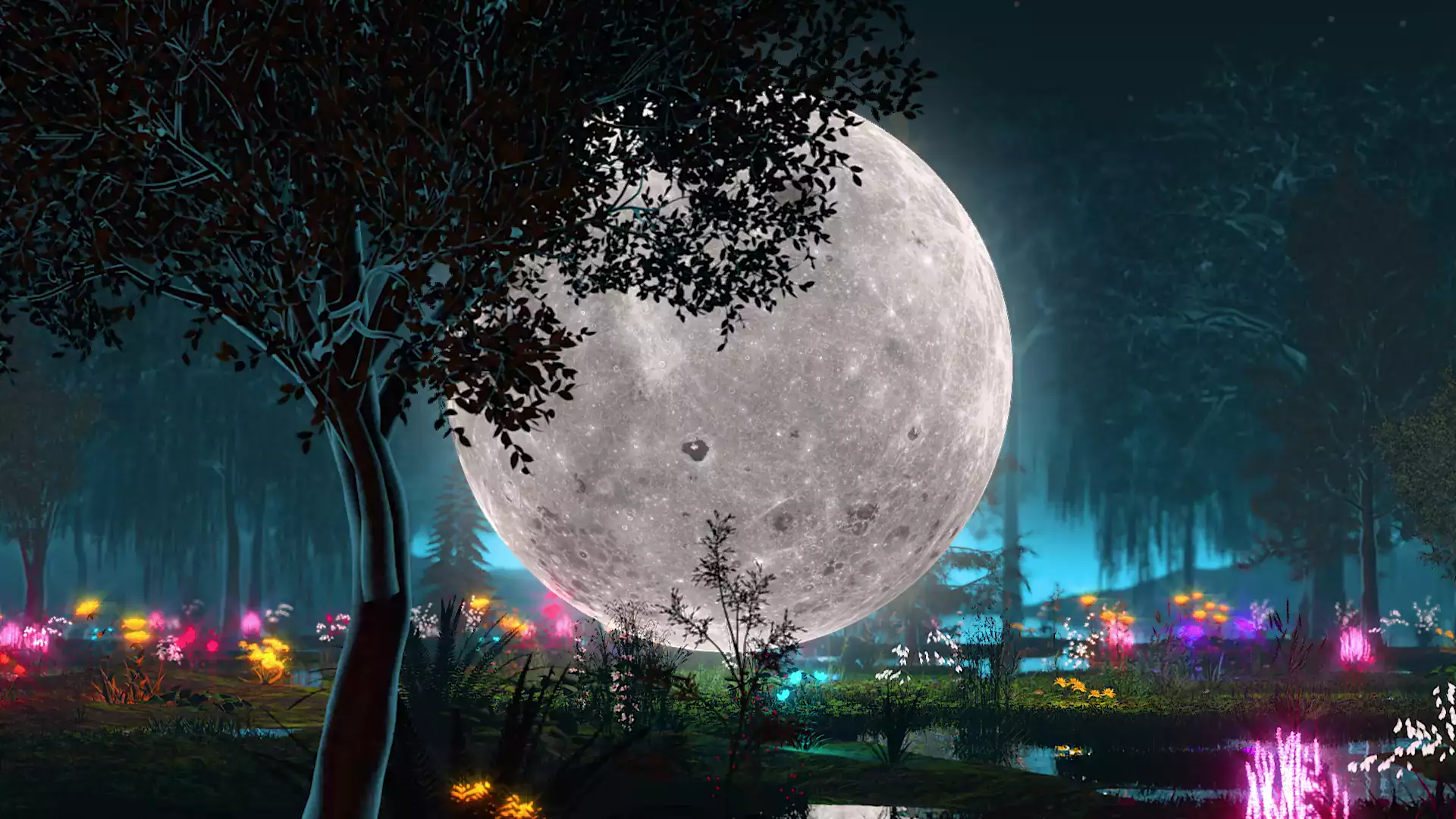 Картинка Лесная луна