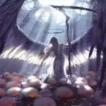 Видео обои Первое касание ангела
