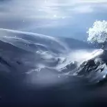 Видео обои Зимнее дерево