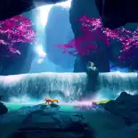 Видео обои Waterfall Fox
