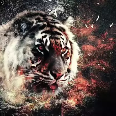 Abstrakter Tiger