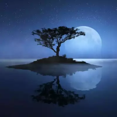 Одинокое дерево под луной